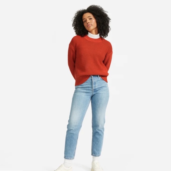 Everlane The Link-Stitch Crewneck Sweater in Rust - Picture 2 of 10